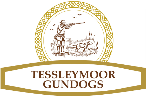 Tessleymoor Gundog Training Logo